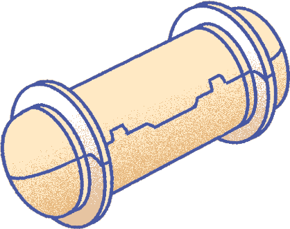 Capsule Coin Token